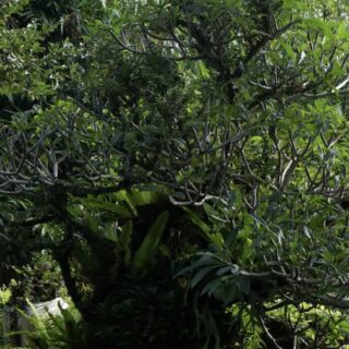 Snímek obrazovky 2024 02 19 v 22.21.47