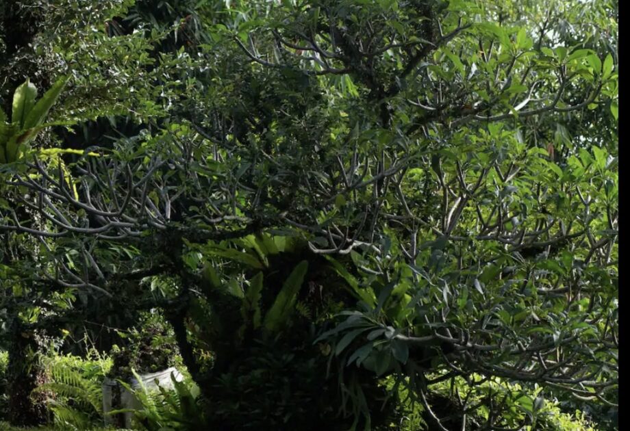 Snímek obrazovky 2024 02 19 v 22.21.47